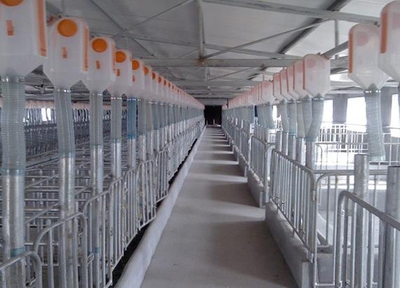 防止我們的失誤導(dǎo)致疫苗的效果大打折扣 防止我們的失誤導(dǎo)致疫苗的效果大打折扣